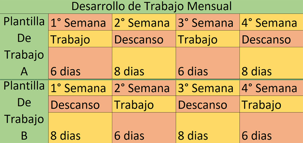 Desarrollo de trabajo mensual